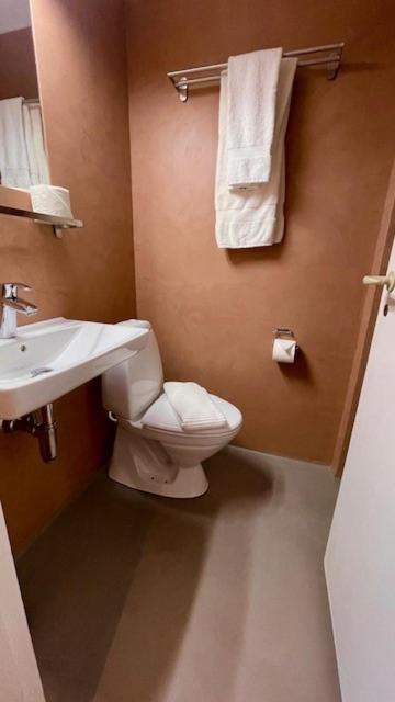 Skjoldenaesholm Slot Hotel Jystrup Ngoại thất bức ảnh